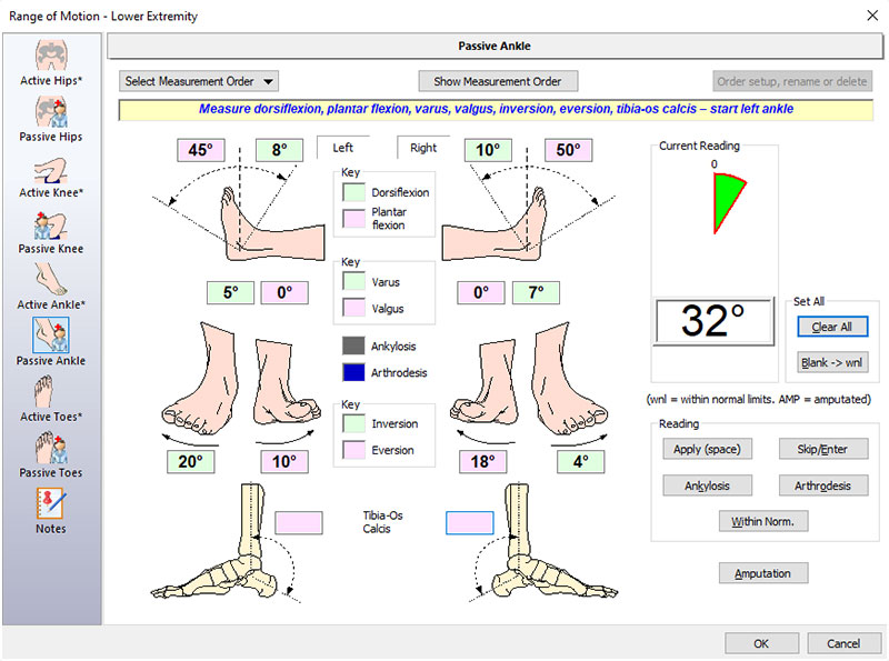 Ankle ROM Measurements